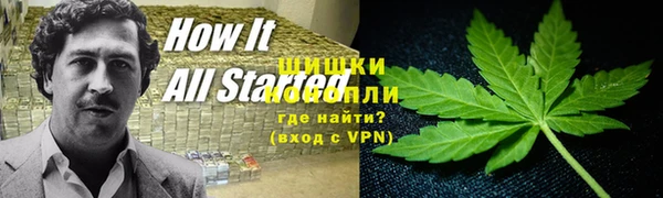 спайс Белокуриха