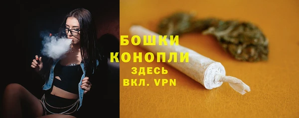 спайс Белокуриха