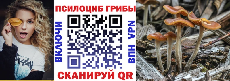 Псилоцибиновые грибы MAGIC MUSHROOMS  Няндома 